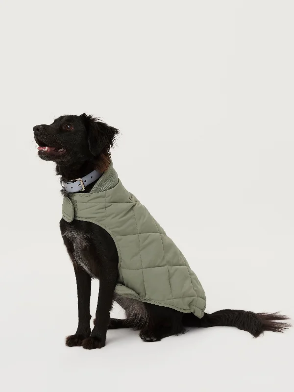 The Skyline Dog Jacket in Vetiver Green